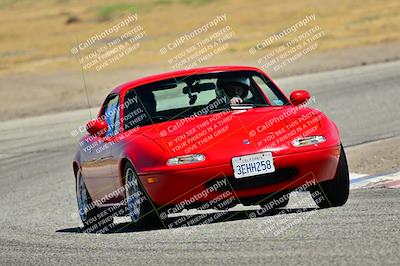 media/May-24-2025-Turn8 Trackdays (Sat) [[034586b55d]]/5 Inter 1/Session 2 (Cotton Corners-Grapevine)/